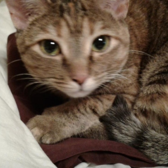 Meet your Posher, Sheryl - Picture 4 of 5